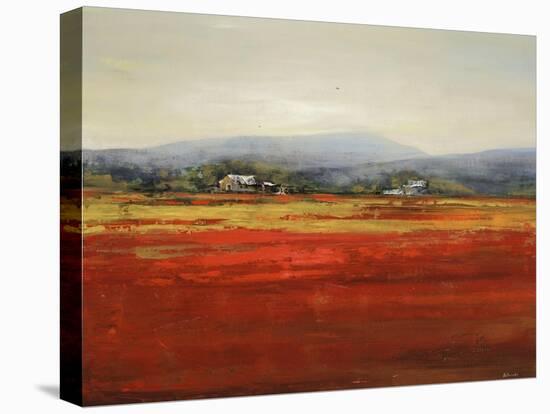 Vibrant Field II-Sydney Edmunds-Premier Image Canvas