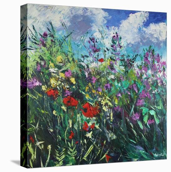 Vibrant Meadow-Sylvia Paul-Premier Image Canvas