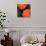 Vibrant orange floral-Yashna-Stretched Canvas displayed on a wall