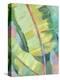 Vibrant Palm Leaves I-Jennifer Goldberger-Stretched Canvas