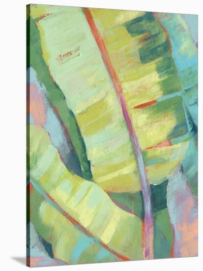 Vibrant Palm Leaves I-Jennifer Goldberger-Stretched Canvas