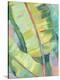 Vibrant Palm Leaves I-Jennifer Goldberger-Stretched Canvas