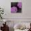 VIBRANT PURPLE FLORAL-Yashna-Stretched Canvas displayed on a wall