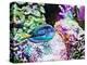 Vibrant Reef VI-Eva Bane-Premier Image Canvas