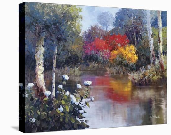 Vibrant Reflections-Kent Wallis-Stretched Canvas