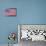 Vibrant Stars and Stripes-Carolee Vitaletti-Stretched Canvas displayed on a wall