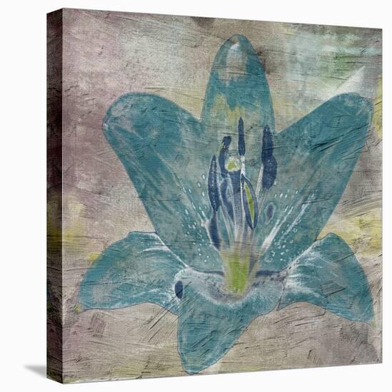 Vibrany Lily 2-Sheldon Lewis-Stretched Canvas