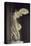 Victoire de Samothrace-null-Premier Image Canvas
