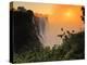 Victoria Falls at Sunrise, Zambezi River, Near Victoria Falls, Zimbabwe, Africa-Christian Heeb-Premier Image Canvas