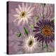 Victorian Garden 2-Devon Ross-Stretched Canvas