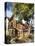Victorian Houses in the Fall, Toronto, Ontario, Canada, North America-Donald Nausbaum-Premier Image Canvas