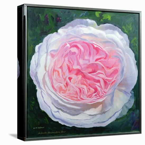 Victorian Rose-William Ireland-Premier Image Canvas