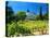 Victorian St. Clement Winery, St. Helen, Napa Valley Wine Country, California, USA-John Alves-Premier Image Canvas