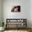 Videodrome (photo)-null-Stretched Canvas displayed on a wall