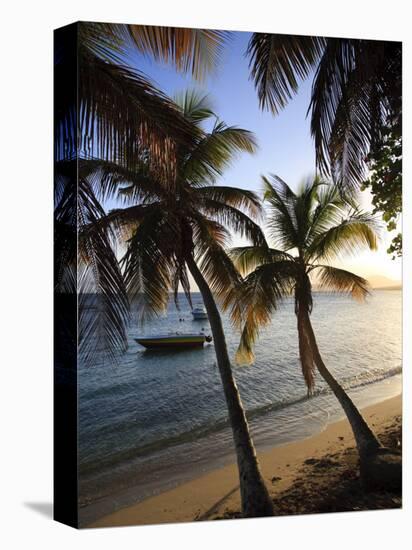 Vieques Island, Esperanza Bay, Puerto Rico-Michele Falzone-Premier Image Canvas