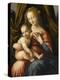 Vierge à l'Enfant-Raffaello Sanzio-Premier Image Canvas