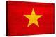Vietnam Flag Design with Wood Patterning - Flags of the World Series-Philippe Hugonnard-Stretched Canvas