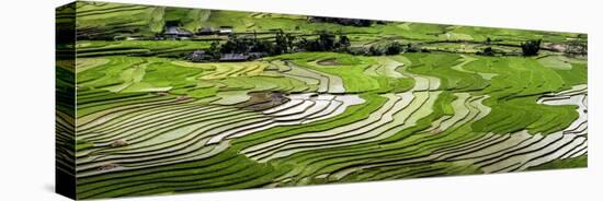 Vietnam . Rice paddies in the highlands of Sapa.-Tom Norring-Premier Image Canvas