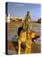 Vietnam War U.S.A.F. Guard Dog-Associated Press-Premier Image Canvas