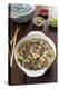 Vietnamese Pho beef broth, Vietnam, Asia-Nico Tondini-Premier Image Canvas