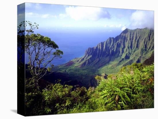 View Above the Na Pali Coast, Kauai, Hawaii, USA-Christopher Talbot Frank-Premier Image Canvas