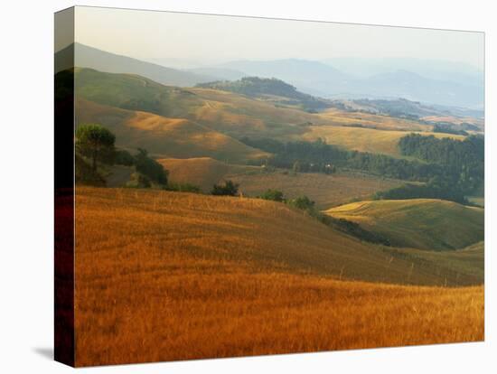 View across Agricultural Landscape at Sunrise, Volterra, Tuscany, Italy, Europe-Tomlinson Ruth-Premier Image Canvas