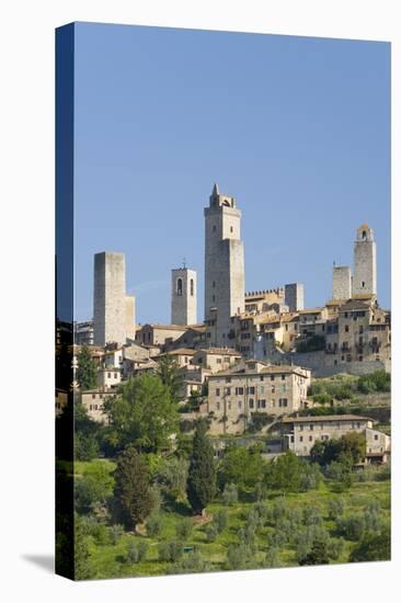 View across Field to Typical Houses and Medieval Towers, San Gimignano, Siena-Ruth Tomlinson-Premier Image Canvas