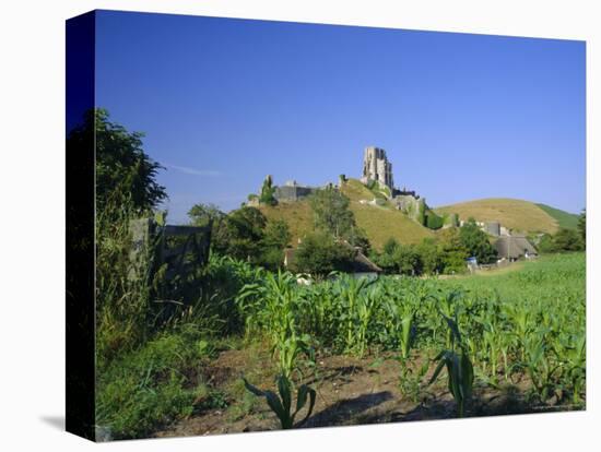 View Across Fields to Corfe Castle, Dorset, England, UK, Europe-Ruth Tomlinson-Premier Image Canvas