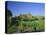 View Across Fields to Corfe Castle, Dorset, England, UK, Europe-Ruth Tomlinson-Premier Image Canvas