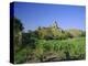 View Across Fields to Corfe Castle, Dorset, England, UK, Europe-Ruth Tomlinson-Premier Image Canvas