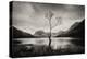 View across Lake in England-Craig Roberts-Premier Image Canvas