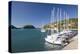 View across Lakka Bay, Yachts Lined Up Along the Quay, Lakka-Ruth Tomlinson-Premier Image Canvas