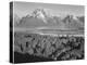 View Across River Valley Toward "Mount Moran" Grand Teton, National Park Wyoming. 1933-1942-Ansel Adams-Stretched Canvas