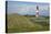 View across the Dunes Covered with Crowberries Towards Hšrnum Lighthouse on the Island of Sylt-Uwe Steffens-Premier Image Canvas