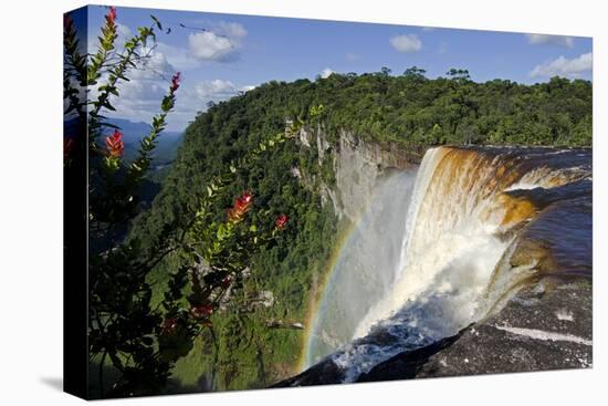 View across the Rim of Kaieteur Falls, Guyana, South America-Mick Baines & Maren Reichelt-Premier Image Canvas
