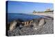 View Along Beach, Gammel Skagen, Jutland, Denmark, Scandinavia, Europe-Stuart Black-Premier Image Canvas