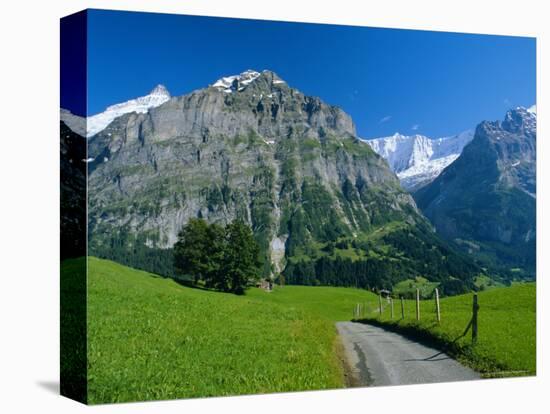 View Along Path Through Fields to the Schreckhorn and Fiescherhorner, Swiss Alps, Switzerland-Ruth Tomlinson-Premier Image Canvas