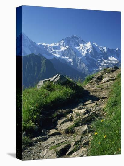 View Along Path to Snow Covered Summit of the Jungfrau, Schynige Platte, Bern, Switzerland-Tomlinson Ruth-Premier Image Canvas