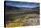 View Along Rapadalen Valley, Sarek National Park, Laponia World Heritage Site, Lapland, Sweden-Cairns-Premier Image Canvas