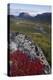 View Along Rapadalen Valley Towards Tjahkkelij, with Nammatj Mountain, Sarek Np, Sweden-Cairns-Premier Image Canvas