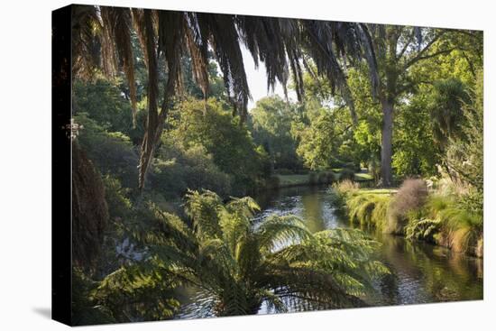 View along the palm-fringed Avon River in Christchurch Botanic Gardens, Christchurch, Canterbury, S-Ruth Tomlinson-Premier Image Canvas