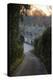View Down Lane to Arlington Row Cotswold Stone Cottages at Dawn, Bibury, Cotswolds-Stuart Black-Premier Image Canvas