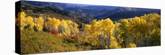View Down Nebo Creek Drainage, Wasatch Mountains, Uinta National Forest, Utah, USA-Scott T^ Smith-Premier Image Canvas