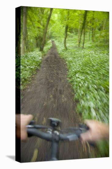 View from Bicycle Along Wooded Track, Uley, Gloucestershire, England-Peter Adams-Premier Image Canvas