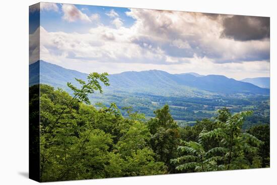 View from Blue Ridge Parkway, Smoky Mountains, USA.-Anna Miller-Premier Image Canvas