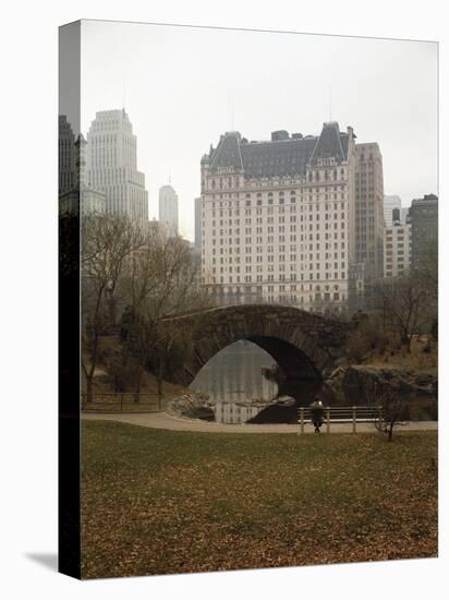 View from Central Park with Plaza Hotel in the Distance-Dmitri Kessel-Premier Image Canvas