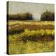 View from Dale Farm-Lou Wall-Premier Image Canvas