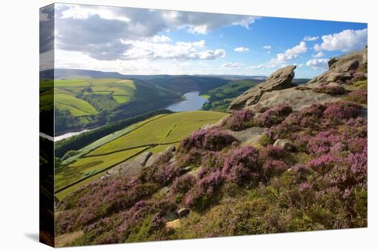 View from Derwent Edge, Peak District National Park, Derbyshire, England, United Kingdom, Europe-Frank Fell-Premier Image Canvas