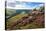 View from Derwent Edge, Peak District National Park, Derbyshire, England, United Kingdom, Europe-Frank Fell-Premier Image Canvas