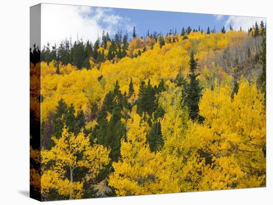 View from Highway 34, Rocky Mountain National Park, Colorado, USA-Jamie & Judy Wild-Premier Image Canvas